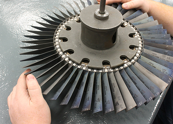 fan blades 1 SM